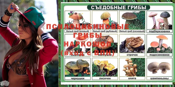 альфа пвп Богородицк