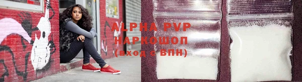 твердый Богданович