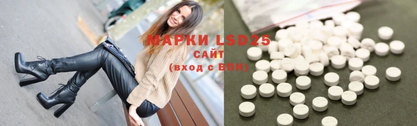 spice Богородск