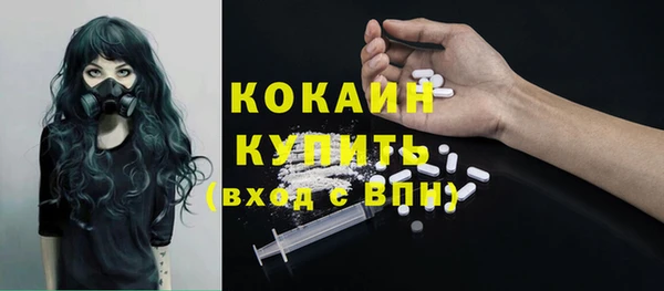 твердый Богданович