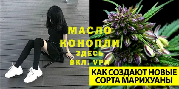 spice Богородск