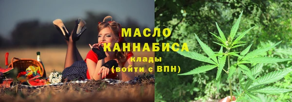 spice Богородск