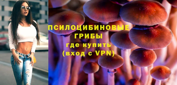 spice Богородск