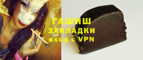 гидра Покачи