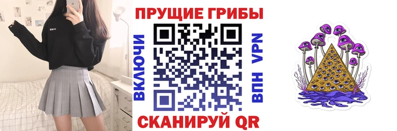 продажа наркотиков  Котельниково  Галлюциногенные грибы MAGIC MUSHROOMS 